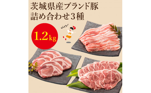 EC-2　茨城県産ブランド豚肉詰め合わせ1.2kg 817009 - 茨城県水戸市