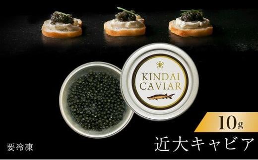 日向キャビア(Hyuga Caviar) 10g【桐箱入り】(冷凍・フレッシュ