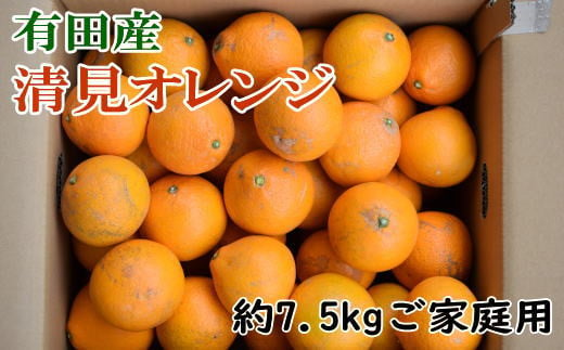 濃厚】有田産清見オレンジ約7.5kg(サイズおまかせ、または混合)ご家庭