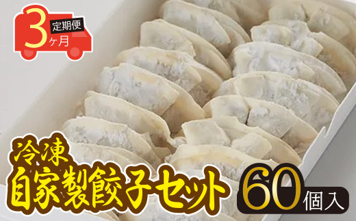 【3ヶ月定期便】岐阜老舗ラーメン店天外　冷凍自家製餃子セット６０個入り　簡単調理　自宅で本格餃子　主婦応援 908656 - 岐阜県岐阜市