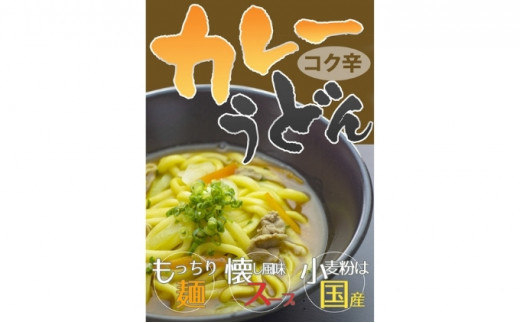 №5341-0361]本場丸亀からお届け！コク旨カレーうどん 16人前 - 香川県