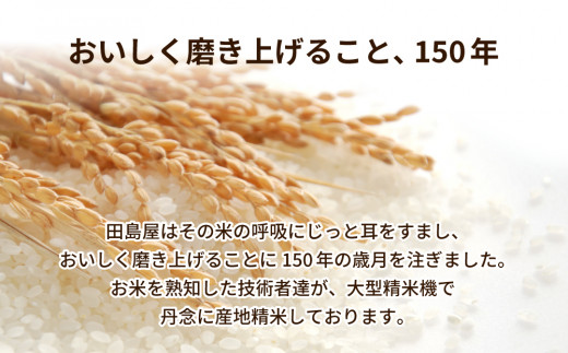 令和5年産茨城県産コシヒカリ 精米 合計10kg (5kg×2袋) ※離島への配送