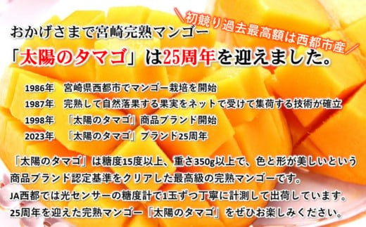最高級ブランド『太陽のタマゴ』2Lサイズ2個入り【糖度15度以上】宮崎 ...