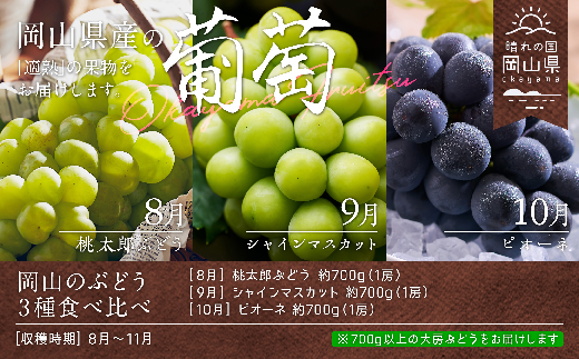 【定期便】岡山のぶどう3種食べ比べ（8月、9月、10月）【数量限定300セット】