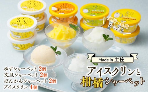 Made in 土佐のアイスクリンと柑橘シャーベットセット |  高知アイス 438476 - 高知県高知市
