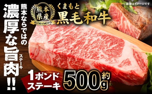 くまもと黒毛和牛 1ポンド ステーキ 約500g 熊本県産 黒毛和牛