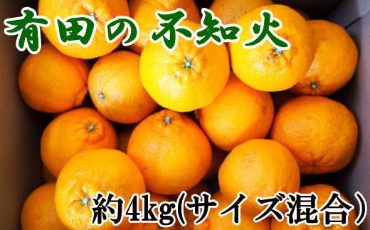 【先行予約】【濃厚】有田産不知火約4kg（2L～5Lサイズ混合）　※2025年2月中旬～2025年3月上旬頃発送予定（お届け日指定不可）【tec931】 1525626 - 和歌山県すさみ町