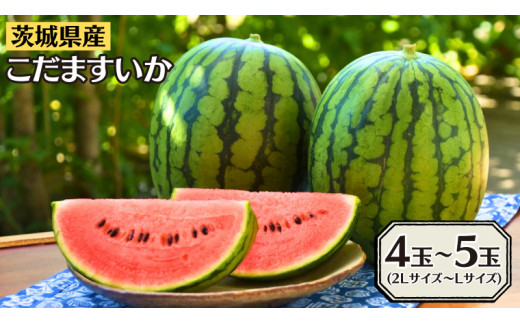 令和5年5月中旬から発送開始】 こだますいか 4～5玉 小玉すいか 小玉