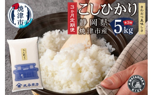a33-006　【定期便 3回】米 5kg コシヒカリ