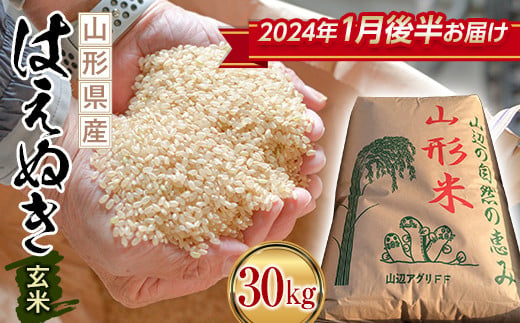 配送時期が選べる】《先行予約》 2023年 山形県産 はえぬき 玄米 30kg