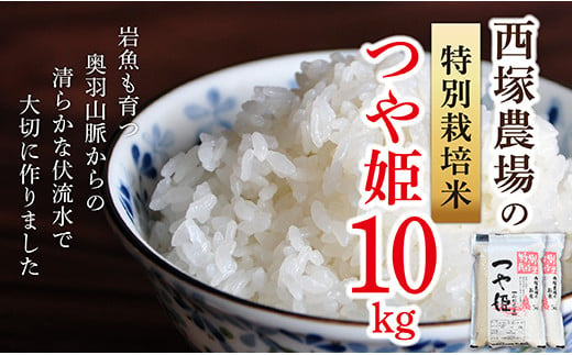 【令和6年産予約】特別栽培米　つや姫　白米　10kg(5kg×2) 848232 - 山形県最上町