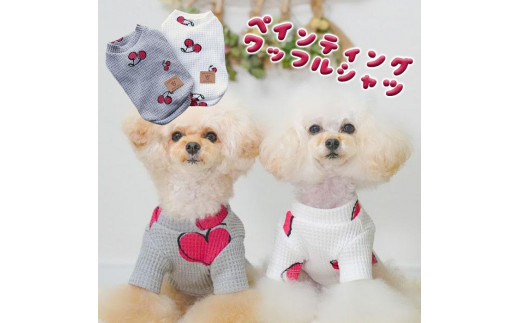 【Mサイズ】可愛い小型犬の洋服「鎌倉ドッグ」「ペインティングワッフルシャツ」（チェリー×ホワイト）