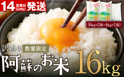 【訳あり】 阿蘇のお米 16kg 米 熊本県 高森町
