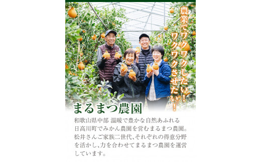 和歌山県日高川町のふるさと納税 【先行予約】木成り完熟 温州 みかん ミックスサイズ 約 10kg まるまつ農園《2025年12月上旬-2026年1月末頃出荷》 和歌山県 日高川町 温州みかん みかん 完熟