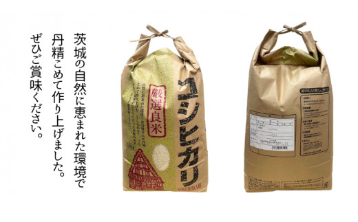 【12/19入金確認分まで年内配送】 令和5年産 茨城県産 100％ コシヒカリ 10kg ( 茨城県共通返礼品 ： 河内町 ) こしひかり 米 こめ  コメ 単一米 お米 白米 精米 新米