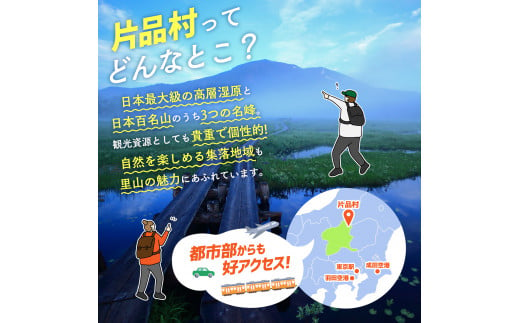 いい旅かたしな おもてなし宿泊チケット 5冊 - 群馬県片品村｜ふるさと