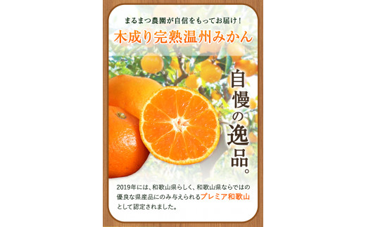 和歌山県日高川町のふるさと納税 【先行予約】木成り完熟 温州 みかん ミックスサイズ 約 10kg まるまつ農園《2025年12月上旬-2026年1月末頃出荷》 和歌山県 日高川町 温州みかん みかん 完熟