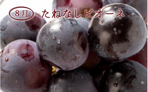 3か月定期便】【数量限定】和歌山産フルーツ定期便！人気の桃とぶどう