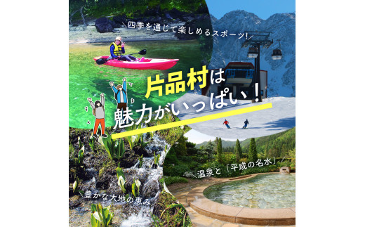 いい旅かたしな おもてなし宿泊チケット 5冊 - 群馬県片品村｜ふるさと