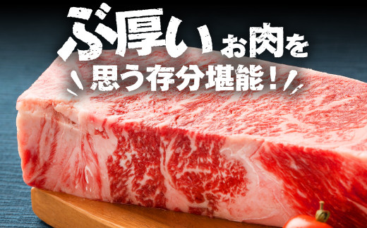 くまもと 黒毛和牛 1ポンド ステーキ 約500g 牛肉 肉