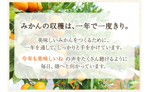 和歌山県日高川町のふるさと納税 【先行予約】木成り完熟 温州 みかん ミックスサイズ 約 10kg まるまつ農園《2025年12月上旬-2026年1月末頃出荷》 和歌山県 日高川町 温州みかん みかん 完熟