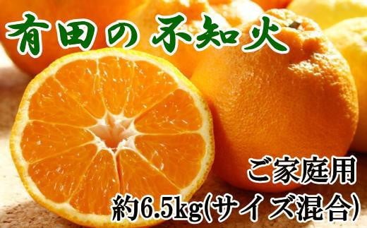 【濃厚】有田の不知火約6.5kgご家庭用向け（サイズ混合）★2025年2月上旬頃より順次発送【TM139】 762432 - 和歌山県和歌山市