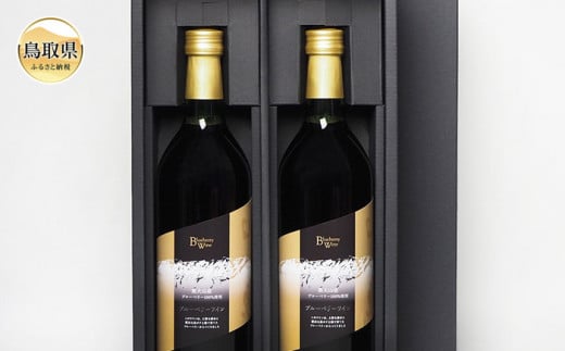 B24-161 奥大山産ブルーベリー100％使用　ブルーベリーワイン2本セット 593160 - 鳥取県鳥取県庁