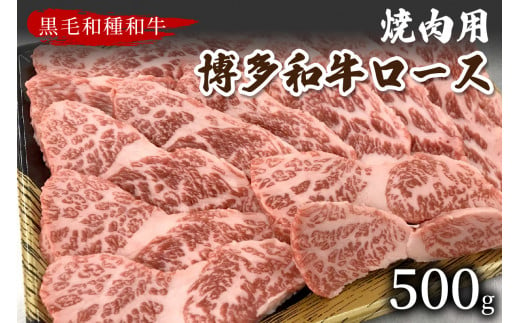 【数量限定】博多和牛ロース焼肉用(500g)【009-0011】 865339 - 福岡県中間市