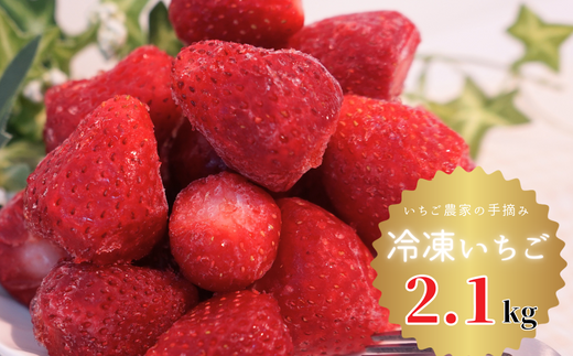 【2.1kg(700g×3袋)】古和谷園の完熟冷凍いちご 878111 - 千葉県鎌ケ谷市