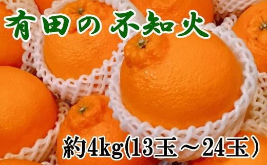 ［濃厚］有田の不知火約4kg（13～24玉）★2026年2月中旬頃より順次発送［TM32］ 583615 - 和歌山県印南町