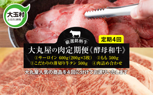 【定期便】大丸屋の肉定期便 計4回【02025】