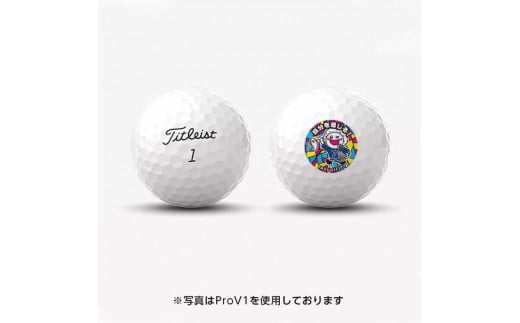 最短2日発送】 ゴルフボール （タイトリスト Pro V1） 1ダース （2023