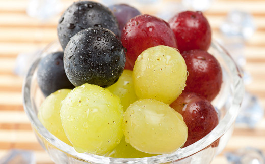ぶどう食べ比べ定期便4回 ブドウ 果物 フルーツ 定期便