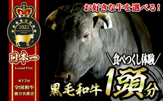2929 日本1黒毛和牛 一頭食べつくし体験 うしの中山