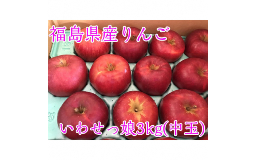 福島県のりんご　蜜入りリンゴいわせっ娘　中玉3kg(8～14玉)【1400057】 864993 - 福島県須賀川市