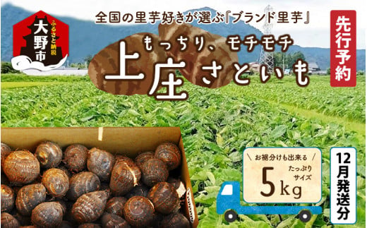 【先行予約】【12月発送分】上庄さといも5kg 日本一の味をめざし、有機肥料配合、減農薬栽培の「独自栽培」で作る里芋 380758 - 福井県大野市