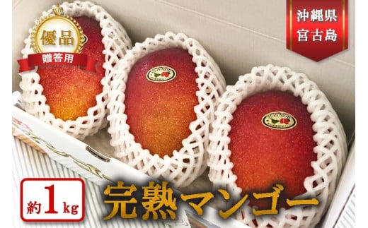 ☆品切れ☆【宮古島産マンゴー】ご贈答用 1kg（2-3玉）マンゴー
