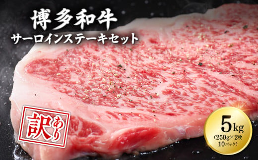 【訳あり】博多和牛サーロインステーキセット 5kg（250g２枚入り×10ｐ） Y13 892908 - 福岡県赤村