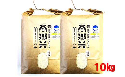 GH-10【特別栽培米】令和4年産米 新潟県五泉産コシヒカリ「南郷米」10㎏ 666728 - 新潟県五泉市