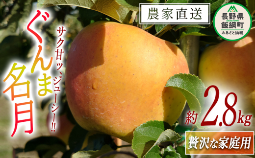 りんご ぐんま名月 贅沢な 家庭用 2.8kg 信州りんご☆小山園☆ 沖縄県への配送不可 2024年11月中旬頃から2024年11月下旬頃まで順次発送予定 令和6年度収穫分 エコファーマー認定 小山園 信州 果物 フルーツ リンゴ 林檎 長野 12000円 予約 農家直送 長野県 飯綱町 [1060] 265382 - 長野県飯綱町