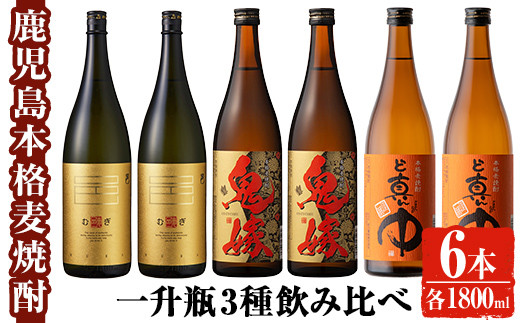 岩川醸造 本格麦焼酎飲み比べ一升瓶6本セット！(麦焼酎の邑、ど真ん中