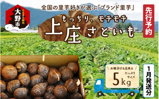 【先行予約】【1月発送分】上庄さといも5kg 日本一の味をめざし、有機肥料配合、減農薬栽培の「独自栽培」で作る里芋 380759 - 福井県大野市