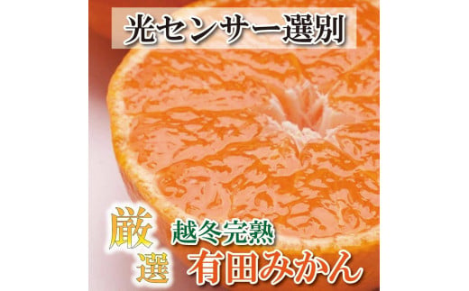 ＜1月より発送＞厳選 越冬完熟みかん2kg+60g（傷み補償分）