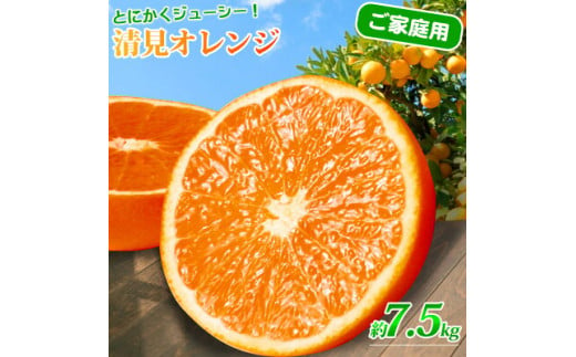 G7067_【先行予約】紀州有田産 清見 オレンジ 7.5kg【家庭用 訳あり】