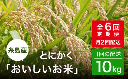 全6回(月2)定期便】とにかくおいしいお米 ヒノヒカリ 10kg 糸島市