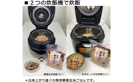 洗わずそのまま 発芽酵素玄米 炊飯セット+GABA 3合(450g)×2セット