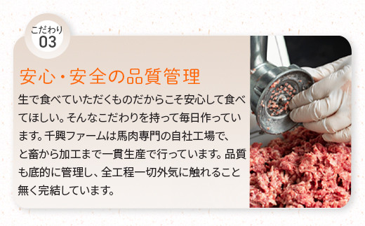 年内発送可【配送月が選べる】6種 馬肉 バラエティ 約540g タレ付き