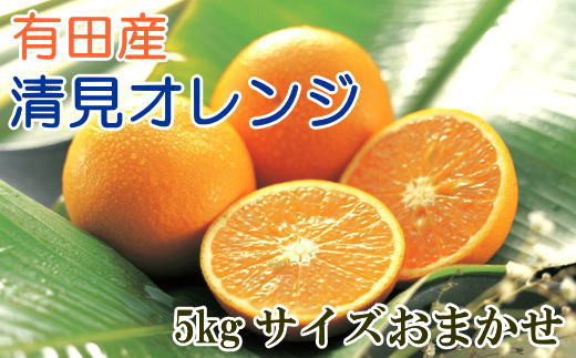 【産直】有田産清見オレンジ約5kg（サイズおまかせ・秀品）【tec866A】 763446 - 和歌山県古座川町