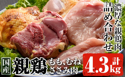 親鶏Ｂセット合計4.3㎏! 肉 鶏肉 詰め合わせ 【ケイ・ショップ味彩館】 B-12