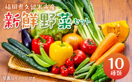 福岡県久留米市産　新鮮野菜セット 877842 - 福岡県久留米市